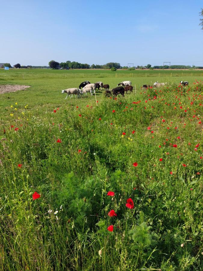 Boerderijkamer De Delle Wijhe Eksteriør bilde